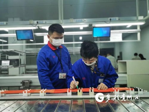 比亞迪貴陽(yáng)弗迪動(dòng)力高壓電氣工廠(chǎng)首批線(xiàn)束產(chǎn)品成功下線(xiàn)，加速高低壓電氣產(chǎn)業(yè)布局